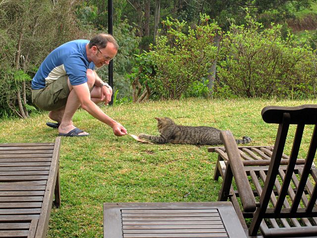 Spielen mit der Hauskatze | Waldspaziergang.org