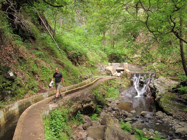 Wandern an der Levada Nova | Waldspaziergang.org