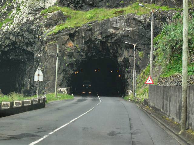 Unterwegs in den Tunnel | Waldspaziergang.org