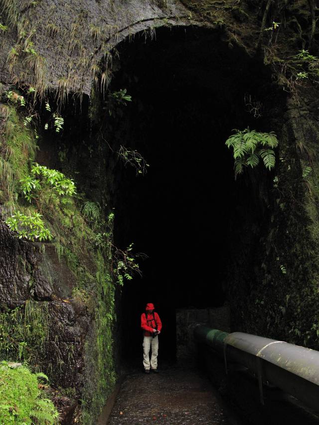 Reitertunnel Madeira | waldspaziergang.org