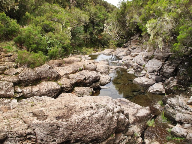 Flussbett Ribeira Grande | Waldspaziergang.org