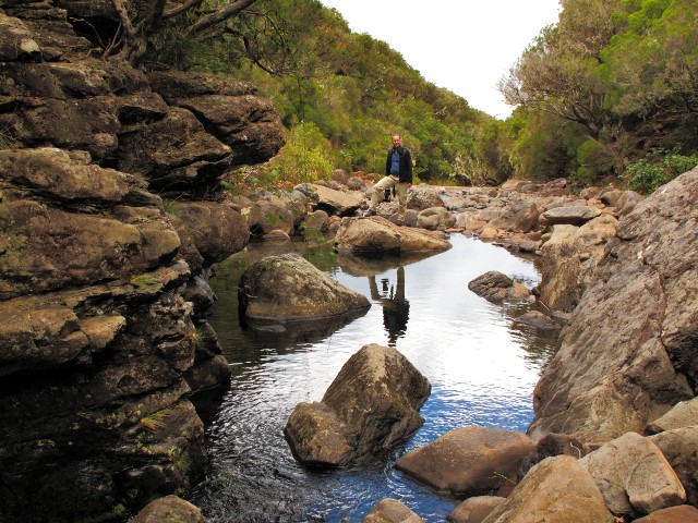 Rosmarin-Levada