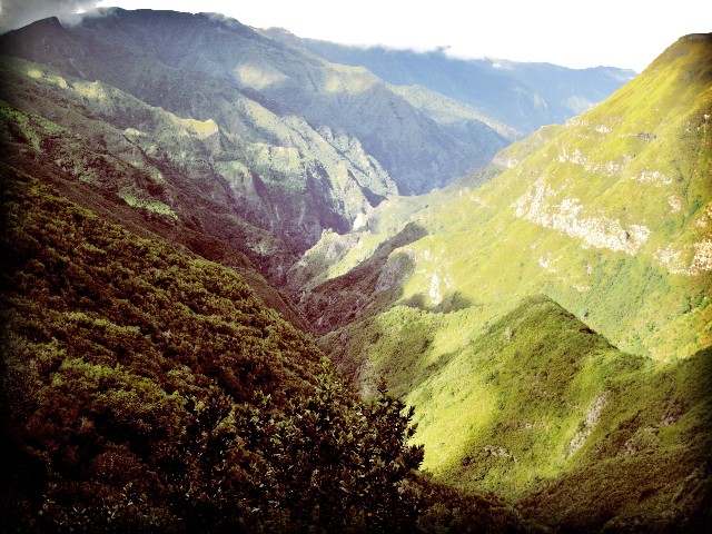 Rosmarin-Levada mit Ausblick | Waldspaziergang.org