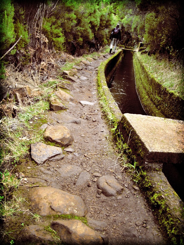 Rosmarin-Levada | Waldspaziergang.org