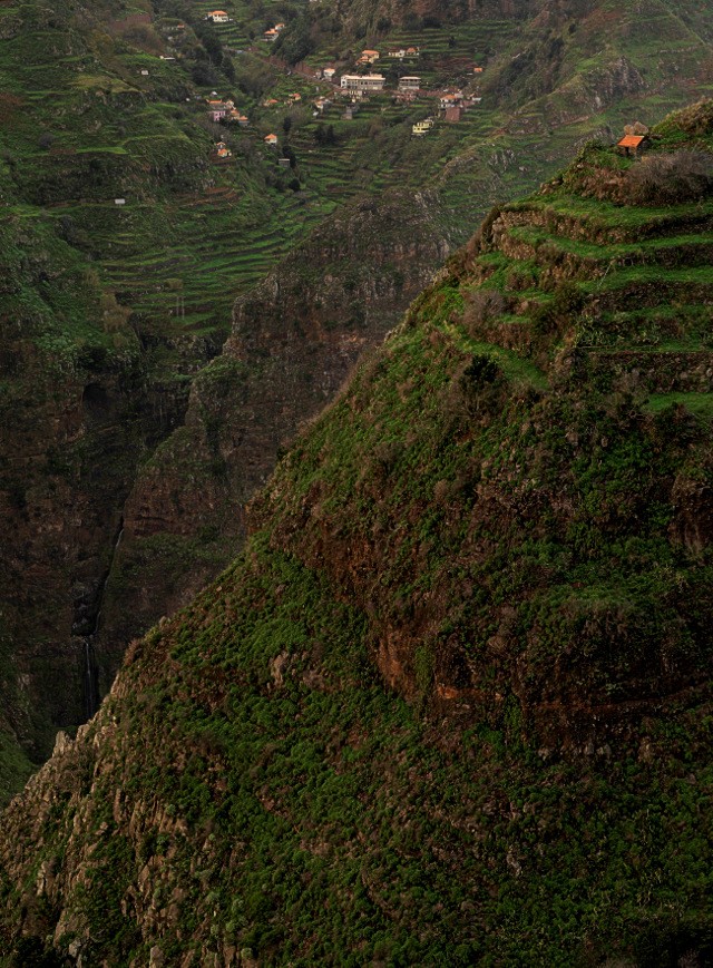 Bergiges Madeira | Waldspaziergang.org