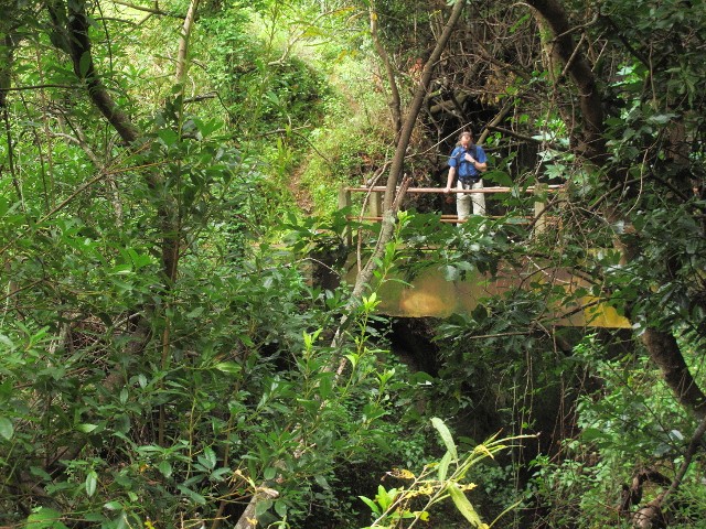 Brücke über Ribeira Funda | Waldspaziergang.org