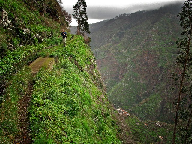 Levada do Norte | Waldspaziergang.org