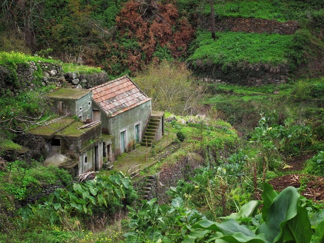 Altes Haus auf Madeira | Waldspaziergang.org