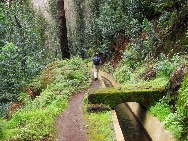 Levada do Norte | Waldspaziergang.org