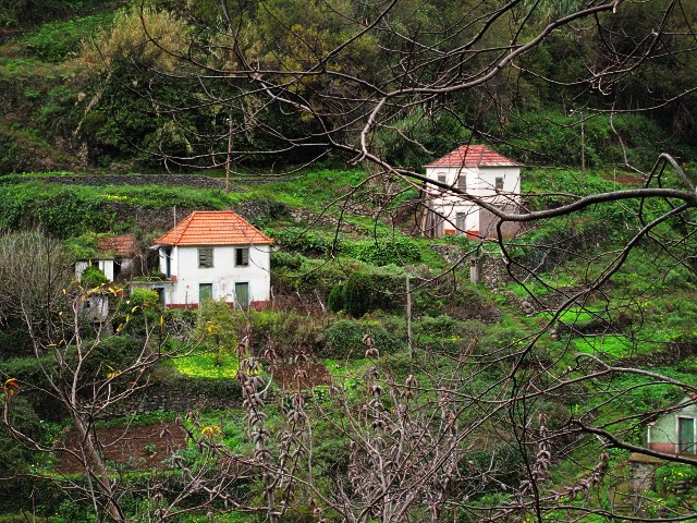 Weiler bei Ribeira Funda | Waldspaziergang.org