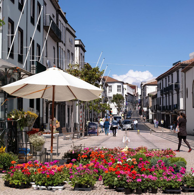 Ponta Delgada Zentrum | Waldspaziergang.org