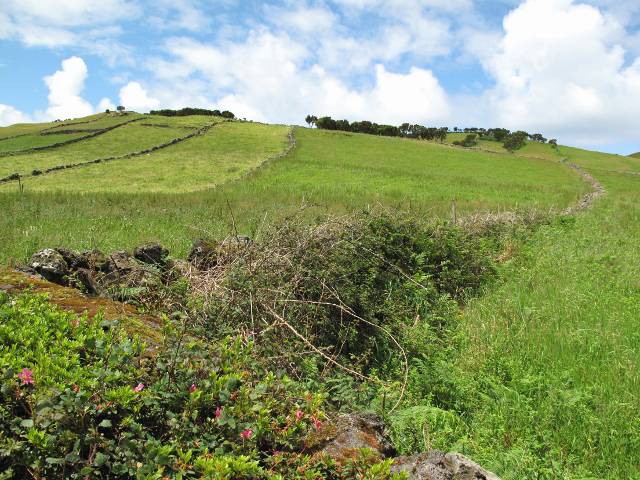 Im Westen von Sao Jorge | Waldspaziergang.org