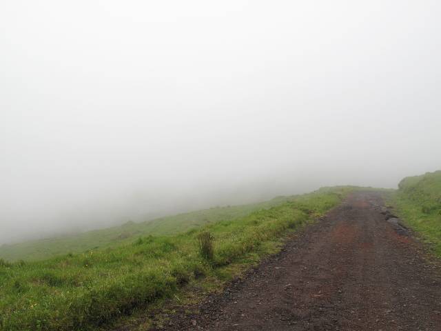 Rückweg Pico da Esperanca | Waldspaziergang.org