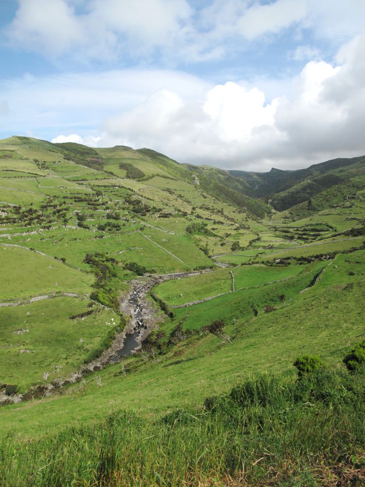 Ribeira do Moinho Flores |Waldspaziergang.org