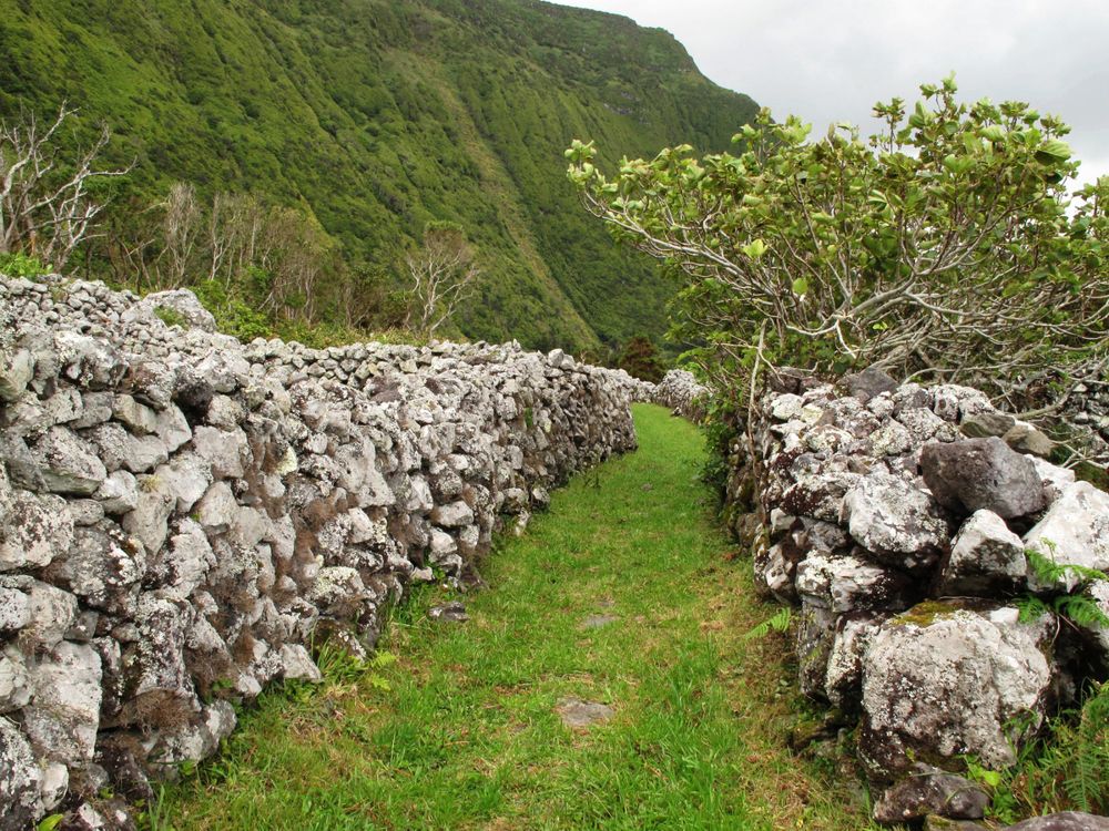 Wanderweg hinter Faja Grande | Waldspaziergang.org