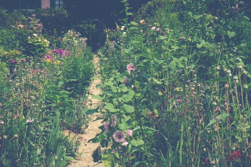 Der Garten von Monet. Clos Normand | Waldspaziergang.org