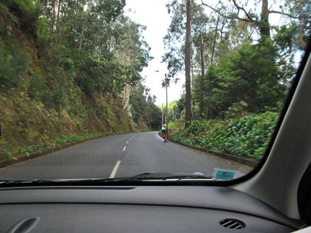 Mit dem Auto auf Madeira | Waldspaziergang.org
