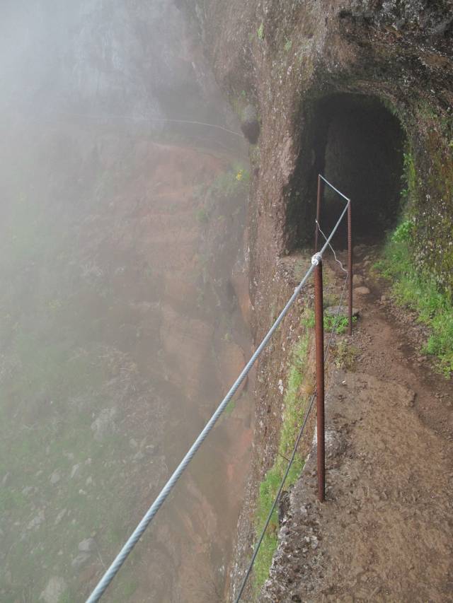 Madeira Wanderweg | Waldspaziergang.org 