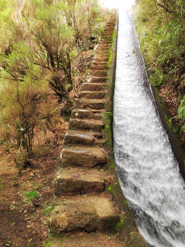 Treppe der Rosmarin-Levada auf Madeira | Waldspaziergang.org